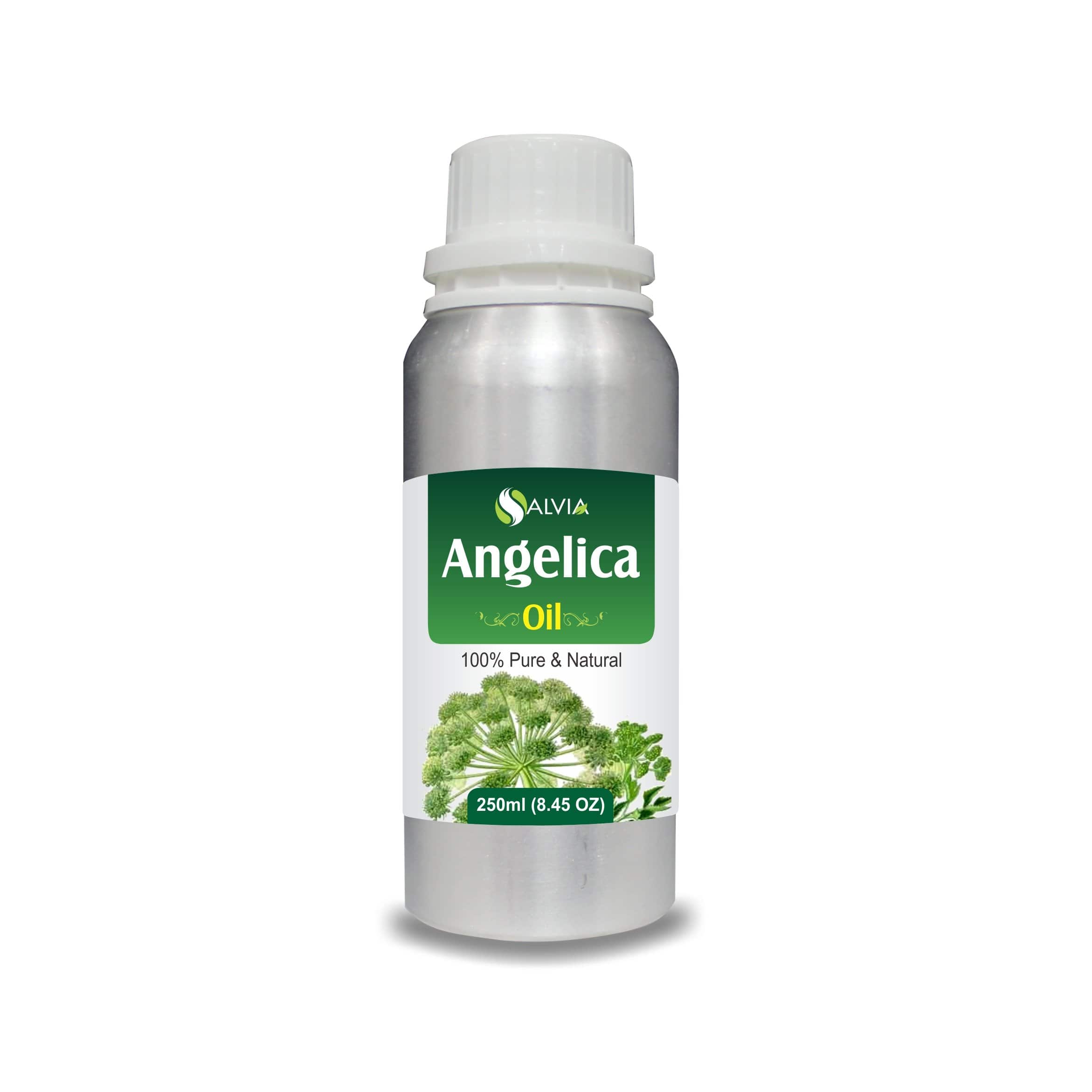 angelica essential oil smell